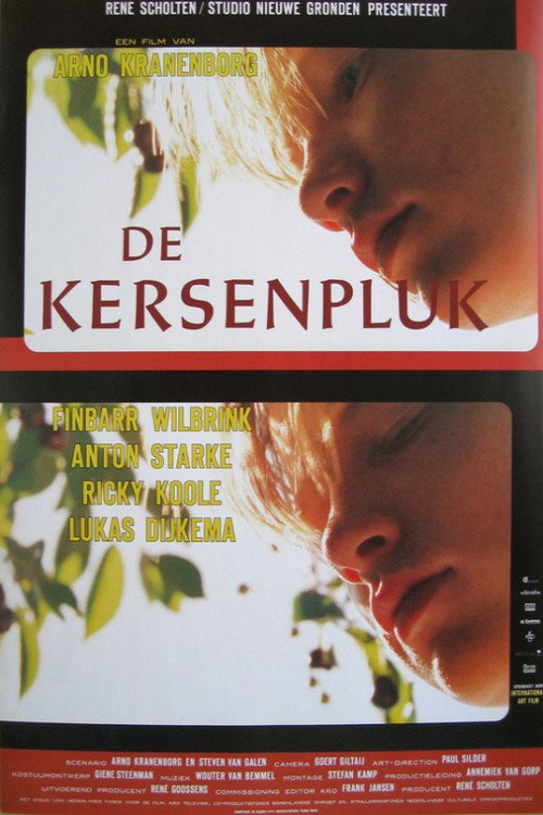 Movie poster for De kersenpluk (1995)