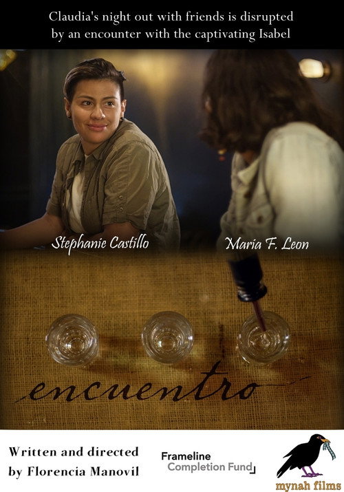 Movie poster for Encuentro (2017)