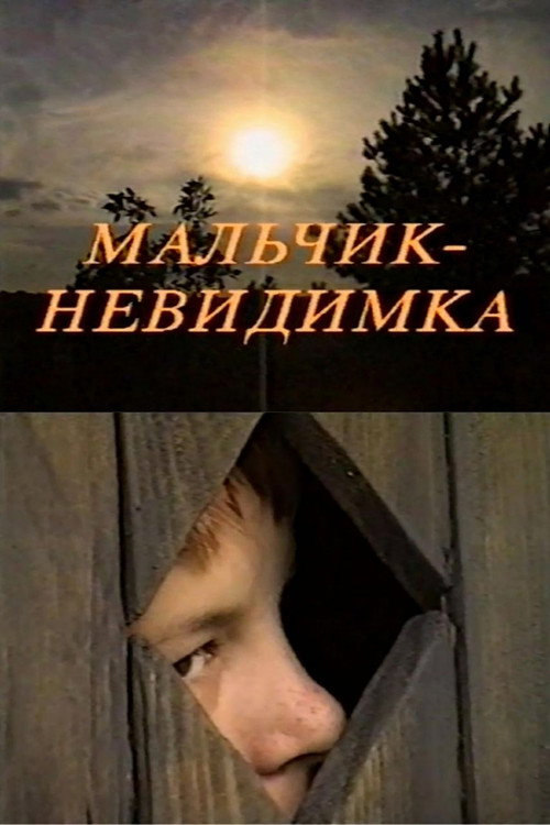 Movie poster for Invisible Boy (1999)