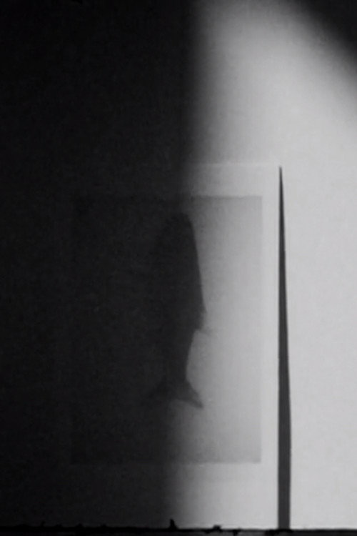 Movie poster for shadow swells (2022)