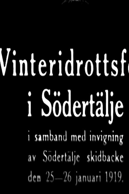 Movie poster for Winter Sports Party in Södertälje (1919)