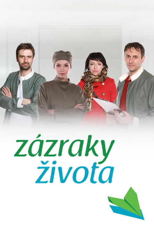 Zázraky života poster
