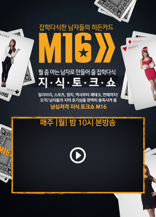 잡학다식한 남자들의 히든카드 M16 poster