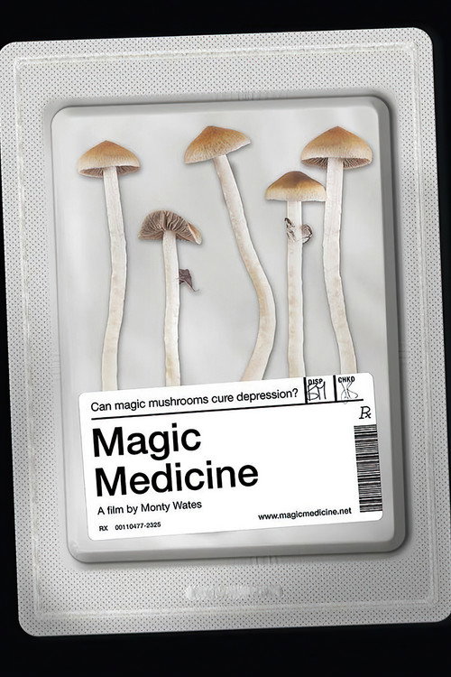 Movie poster for Magic Medicine (2018)