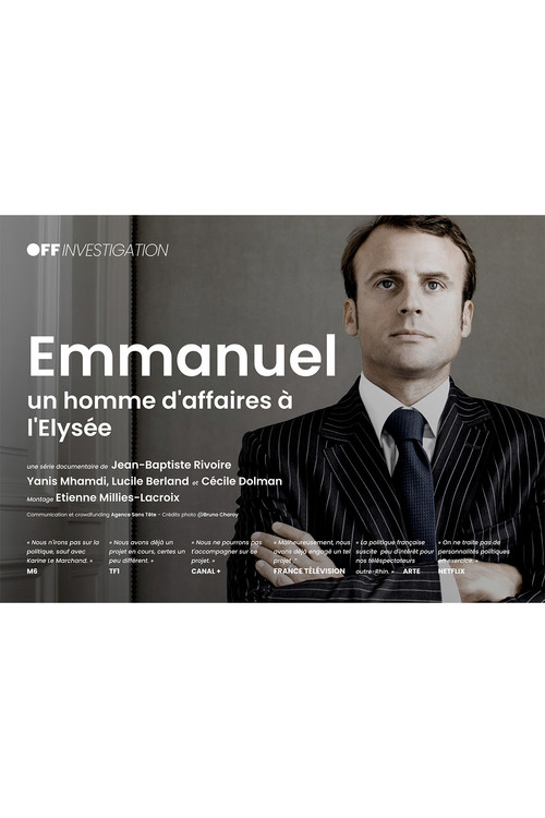 Emmanuel, un homme d'affaire à l'Élysée poster