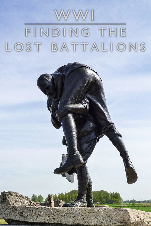 Movie poster for WWI: Finding the Lost Battalion (2010)