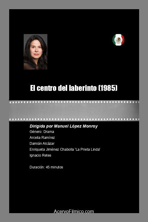 Movie poster for El centro del laberinto (1985)