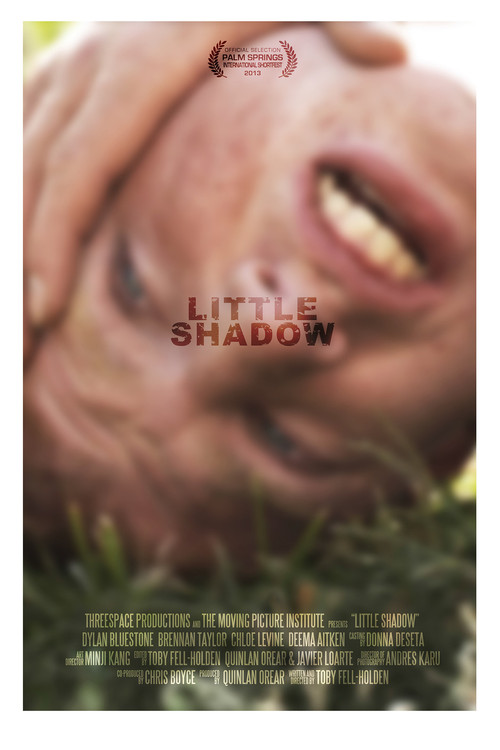 Movie poster for Little Shadow (2013)