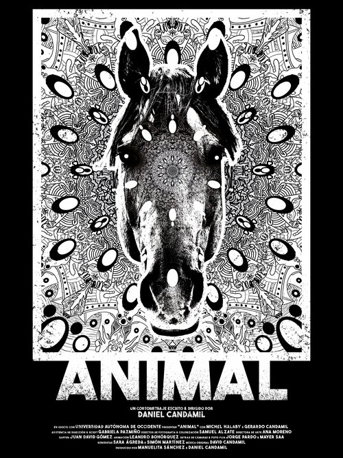 Movie poster for Animal (2022)