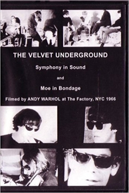 Movie poster for Moe Gets Tied Up (1966)