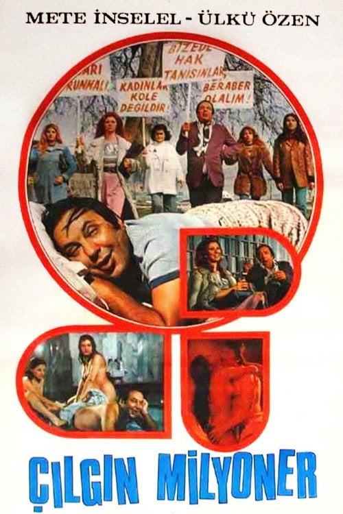 Movie poster for Çılgın Milyoner (1976)