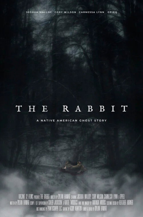 Movie poster for The Rabbit (2025)