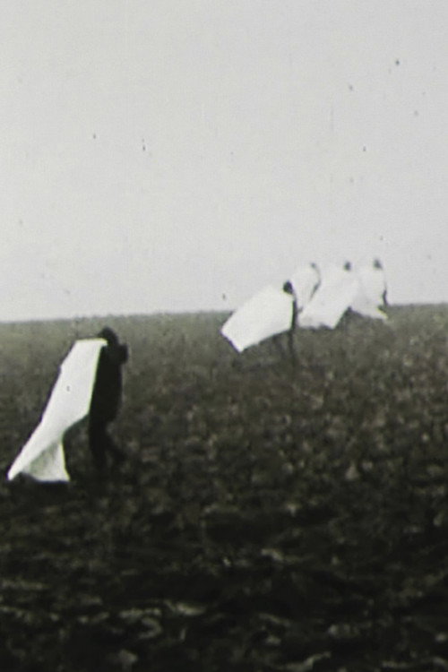 Movie poster for Landscape for White Squares (1972)