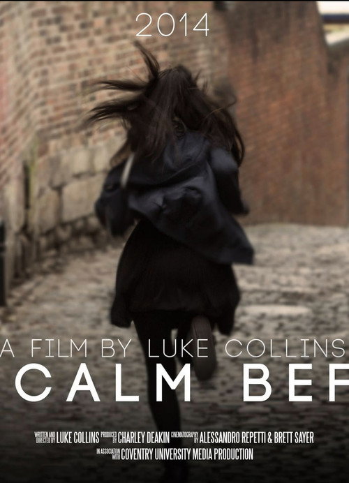 Movie poster for The Calm Before