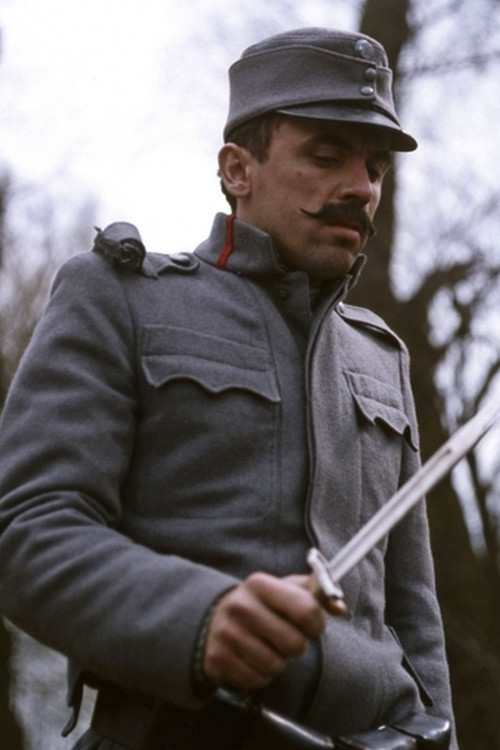 Zoltán Bezerédy profile