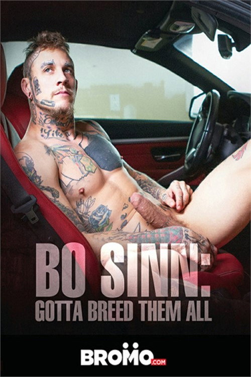 Movie poster for Bo Sinn: Gotta Breed Them All (2021)