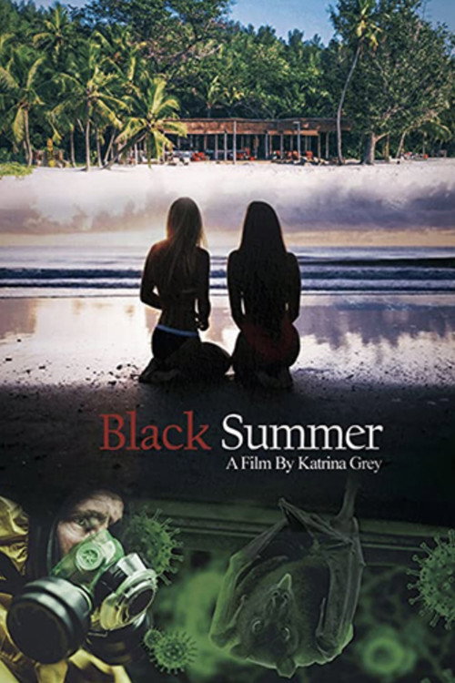 Movie poster for Black Summer