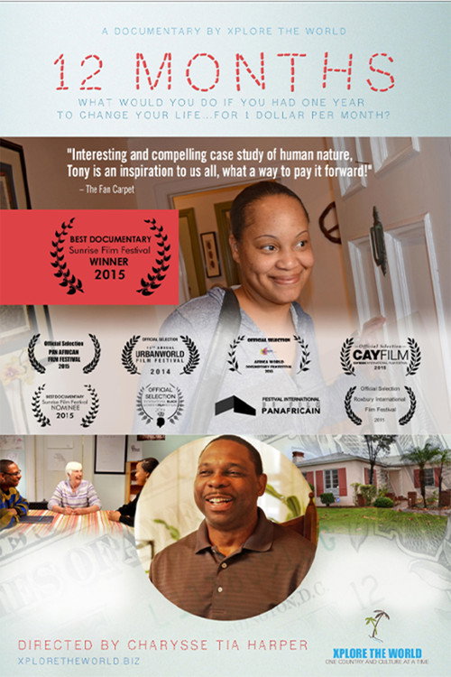 Movie poster for 12 Months (2014)