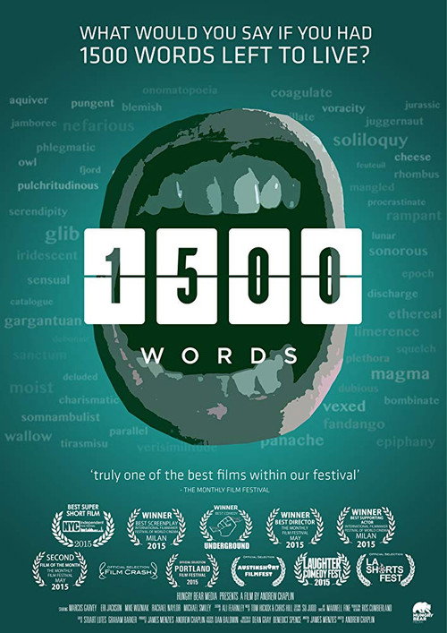 Movie poster for 1500 Words (2014)