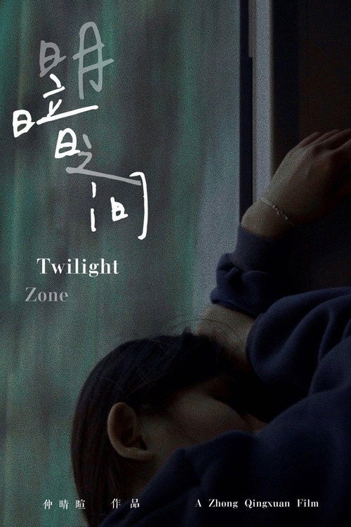 Movie poster for Twilight Zone (2020)