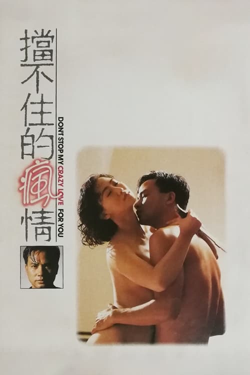 Movie poster for Don't Stop My Crazy Love for You (1993)