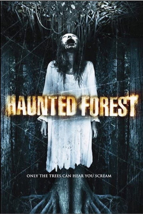 Movie poster for Haunted Forest (2007)