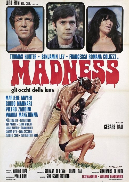 Movie poster for Madness (1971)
