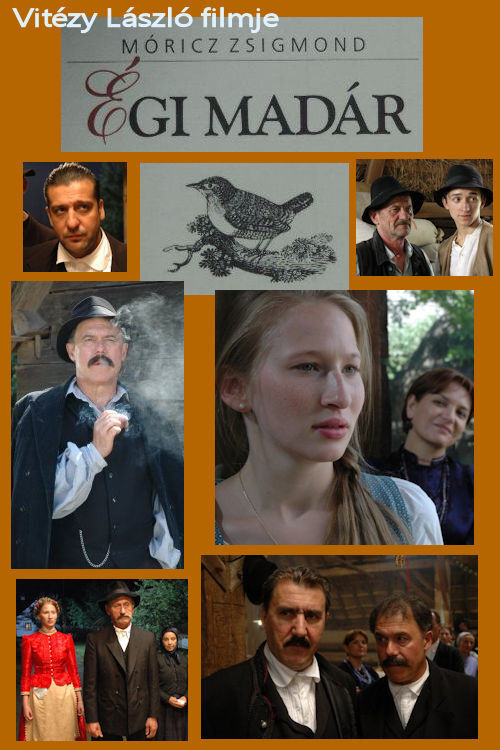 Movie poster for Égi madár (2011)