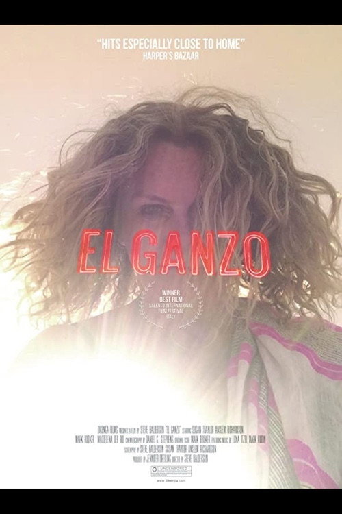 Movie poster for El Ganzo (2015)