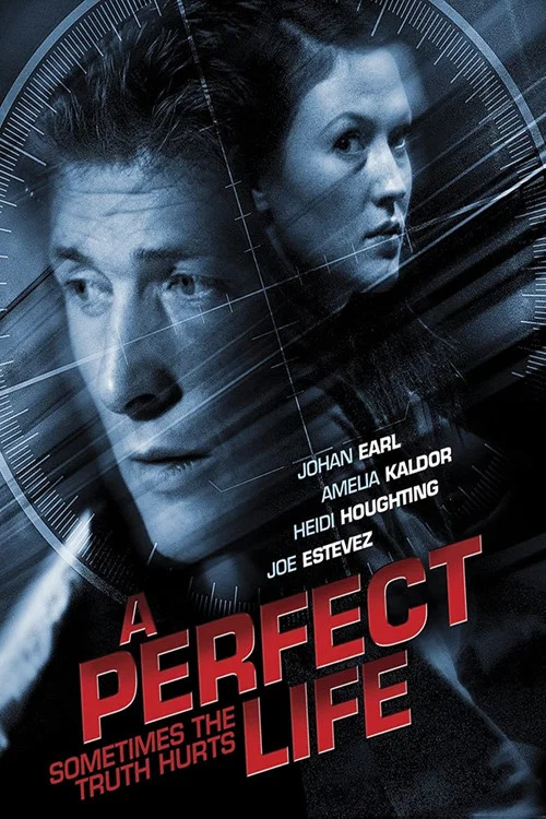 Movie poster for A Perfect Life (2011)