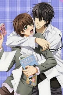Movie poster for Sekaiichi Hatsukoi: Valentine-hen (2014)