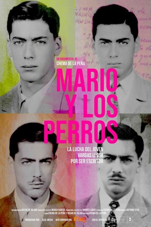 Movie poster for Mario y los perros (2019)