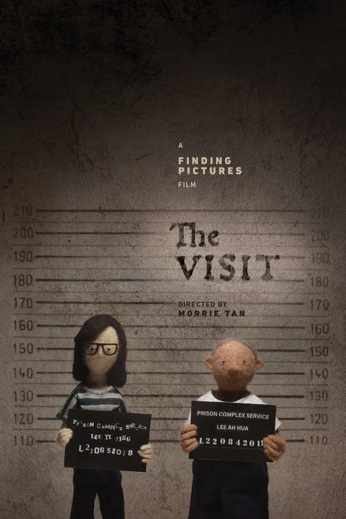 Movie poster for The Visit (2021)