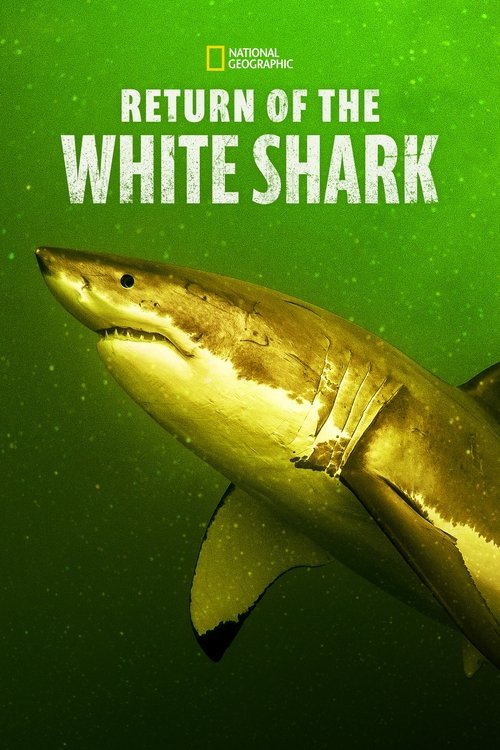 Movie poster for Return of the White Shark (2023)