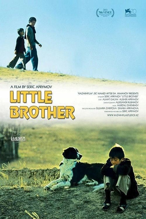 Movie poster for Little Brother (2013)