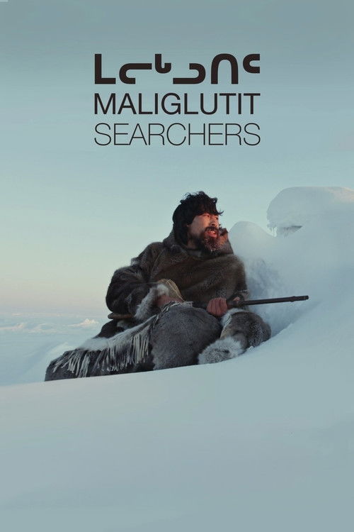 Movie poster for Searchers (2016)