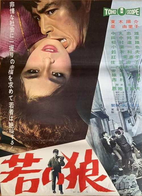 Movie poster for Hidden Fangs (1961)