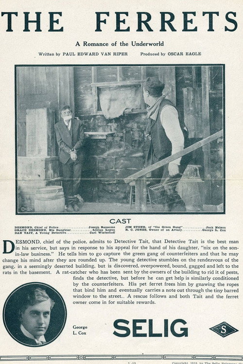 Movie poster for The Ferrets (1913)