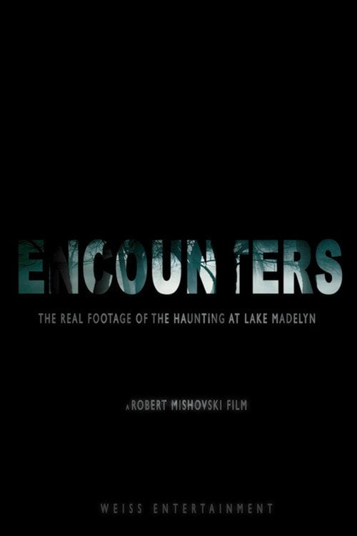 Movie poster for Encounters (2012)