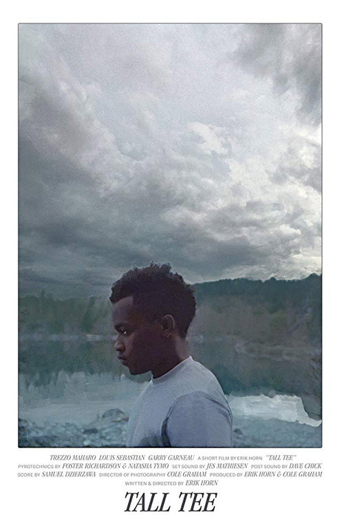 Movie poster for Tall Tee (2018)