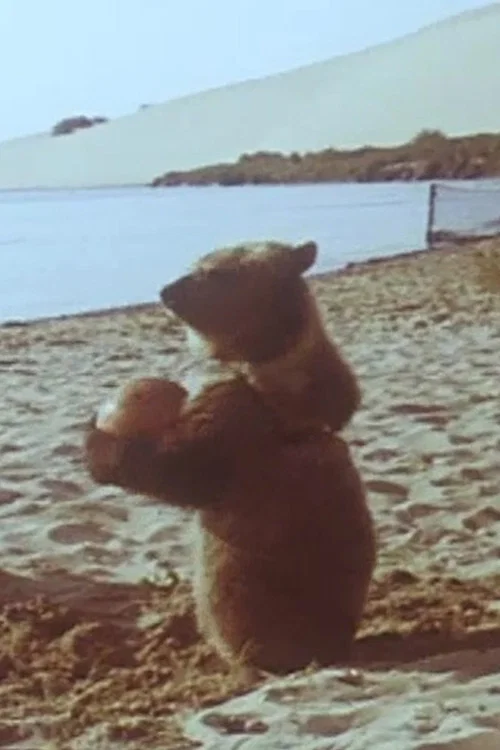 Movie poster for Little Bear (1981)