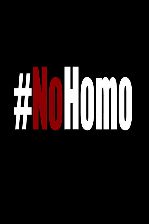 Movie poster for No Homo (2015)