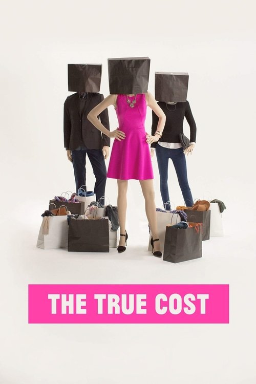 Movie poster for The True Cost (2015)