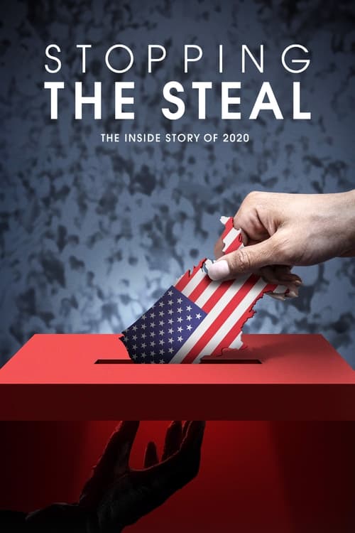 Movie poster for Stopping the Steal (2024)