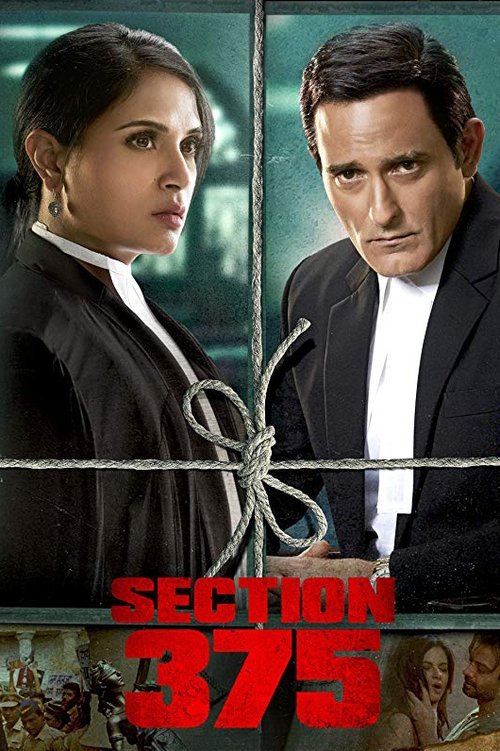 Movie poster for Section 375 (2019)