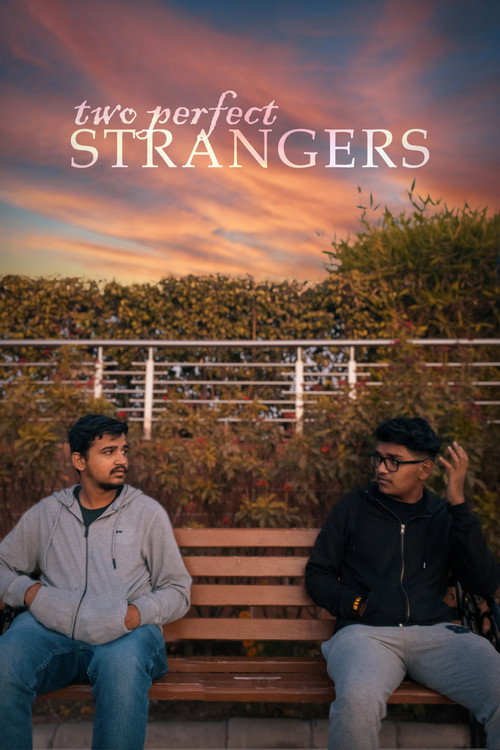 Movie poster for Two Perfect Strangers (2022)