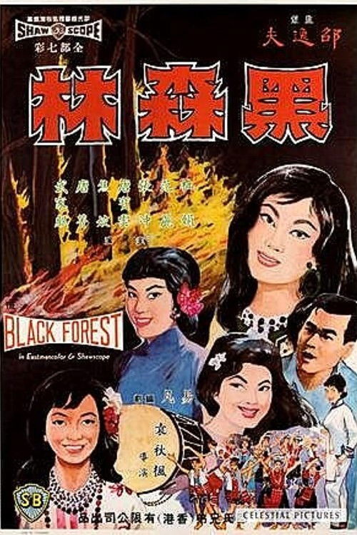 Movie poster for The Black Forest (1964)