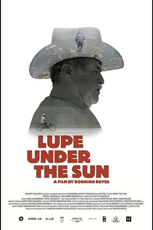 Movie poster for Lupe Under the Sun (2016)