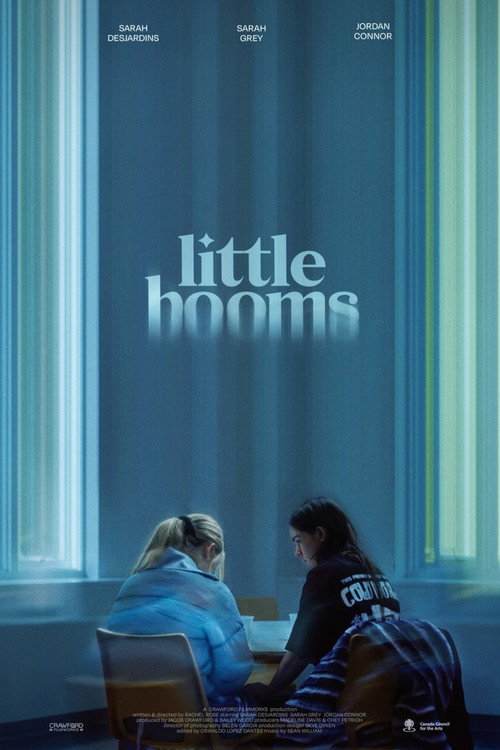 Movie poster for Little Booms (2025)