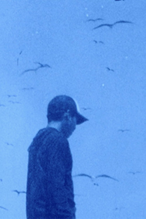 Movie poster for open sky / open sea / open ground (2022)